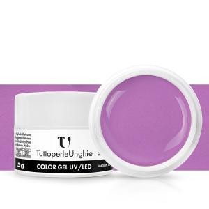 Gel color frutti di bosco 5g