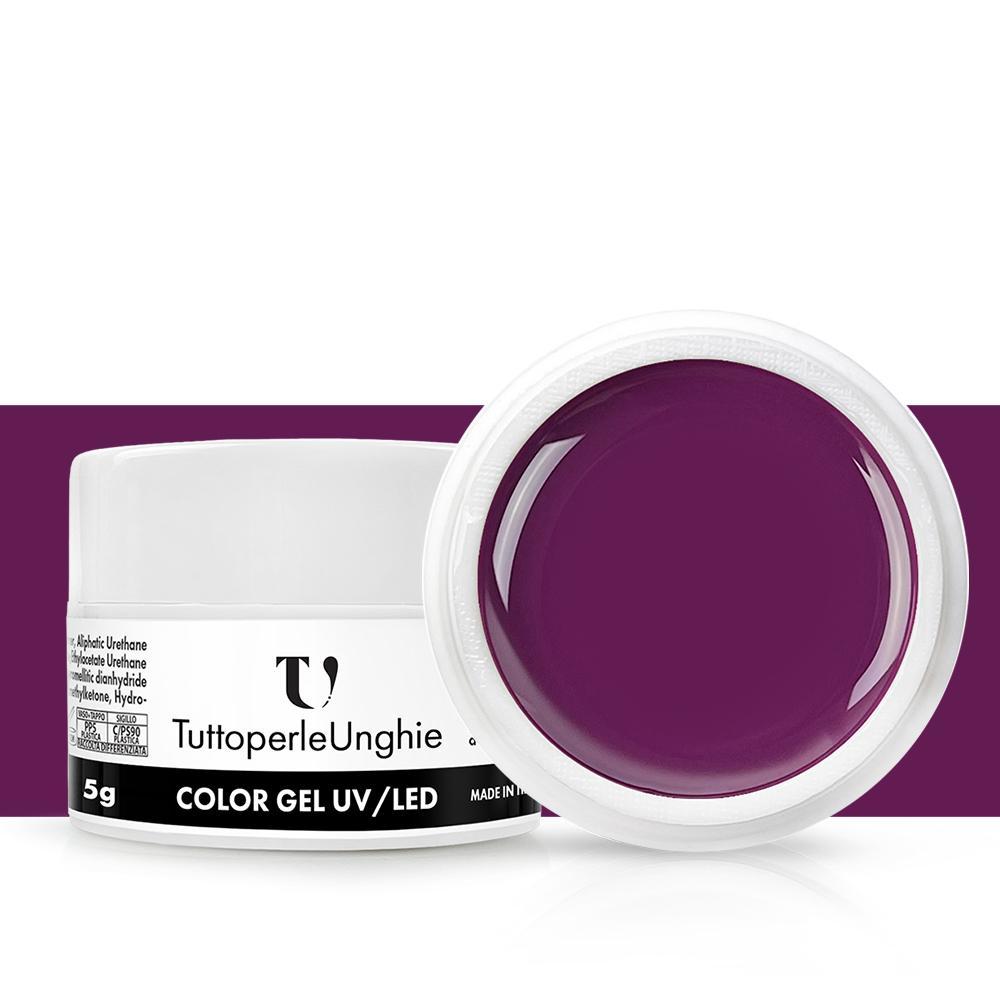 Gel Color Bacca Viola 5g