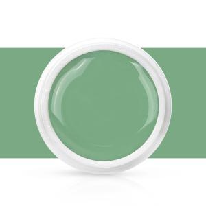 Gel color verde giada 5g